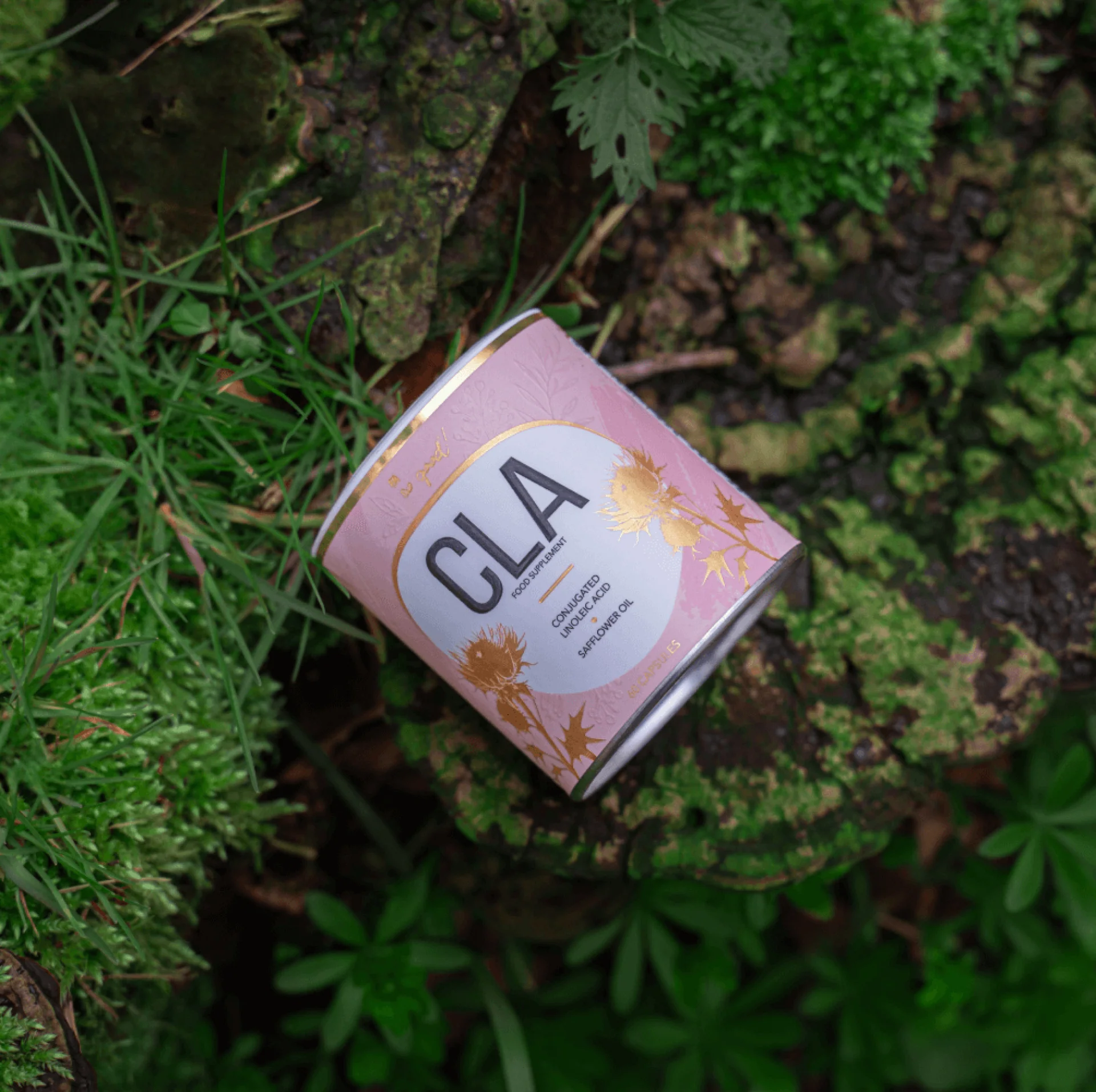 CLA - Image 4
