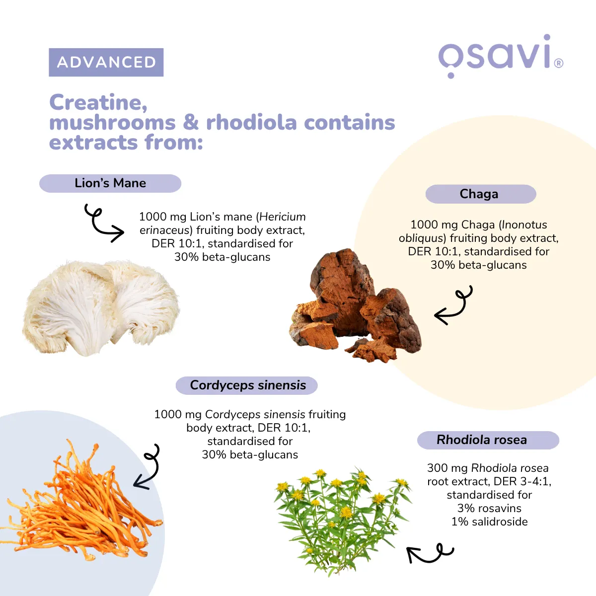 Creatine Mushrooms & Rhodiola - Image 4