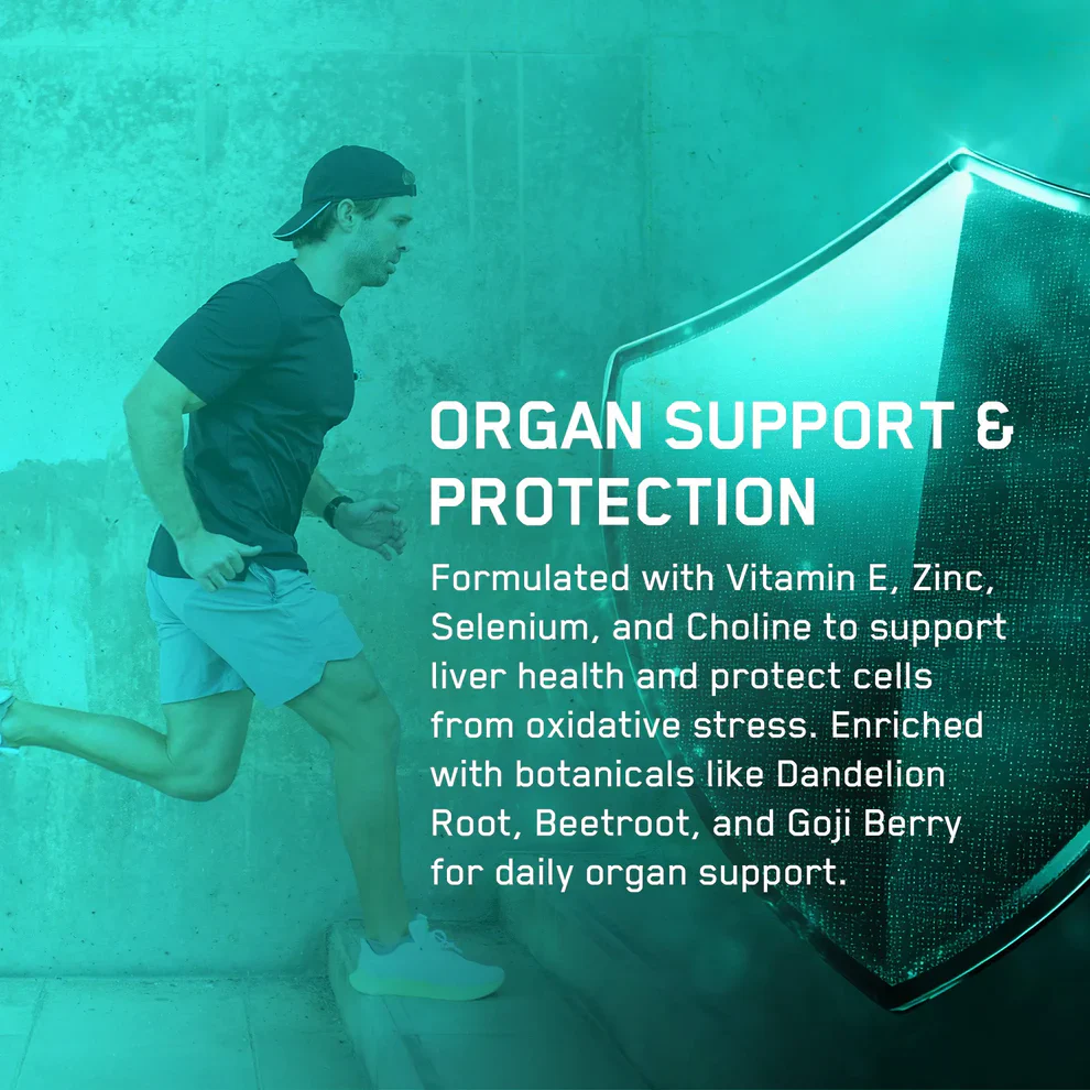 Organ Shield - Image 7